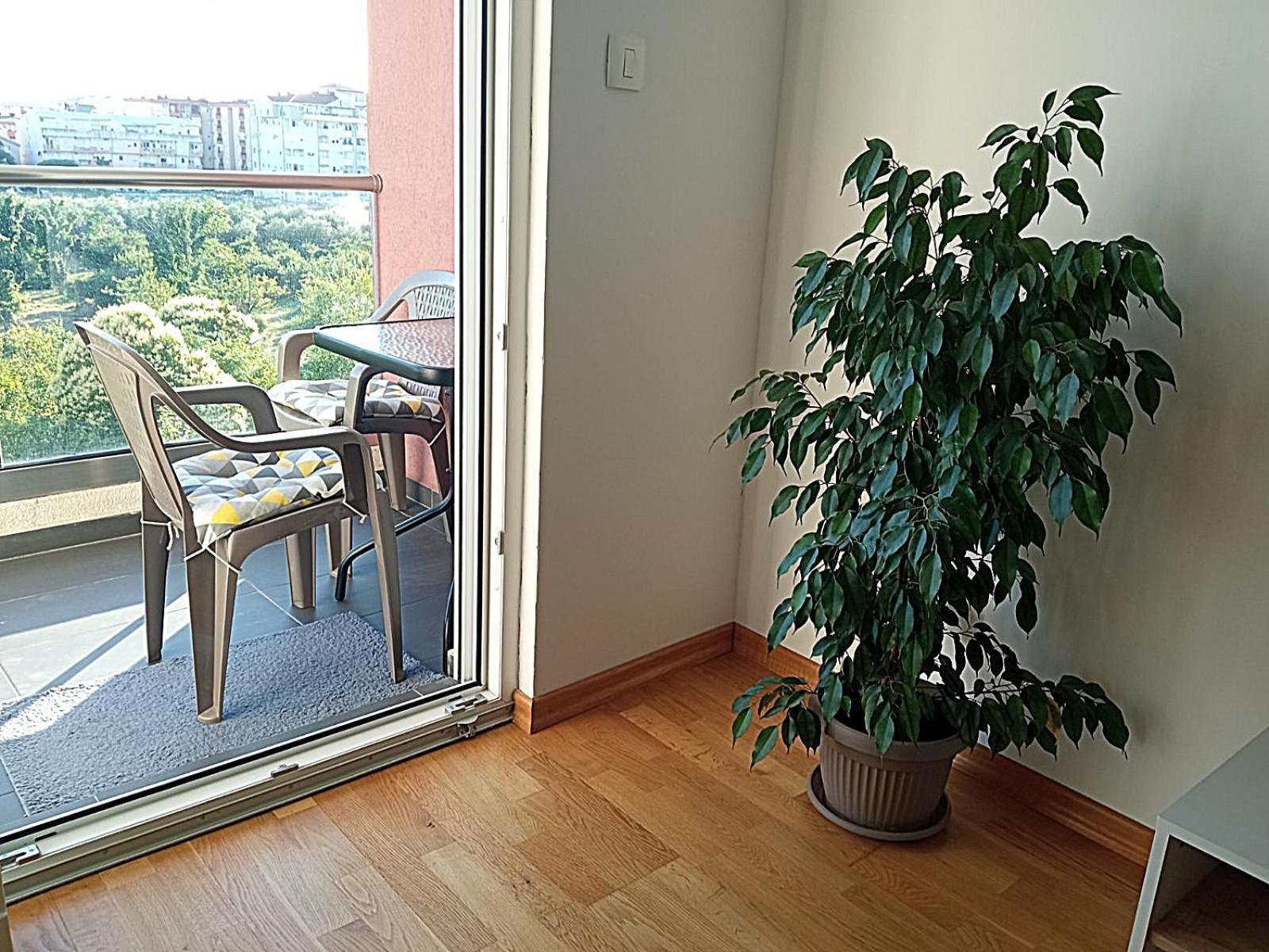 Aga Apartman พอดโกริกา ภายนอก รูปภาพ